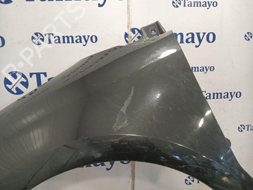 Left front fenders CITROËN C4 Coupe (LA_)  | BP29431586C41 