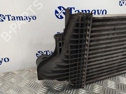 Intercooler MERCEDES-BENZ M-CLASS (W164)  | BP21027725M30 