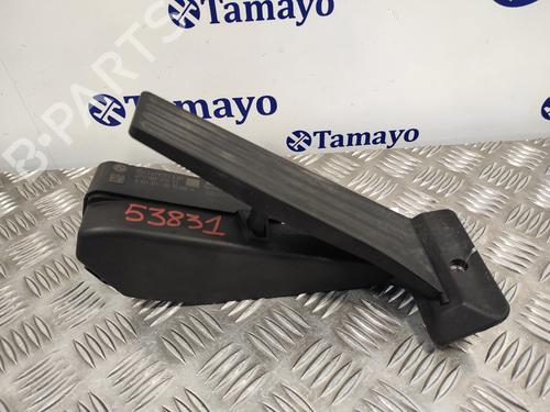 Pedal BMW X1 (E84) xDrive 23 d | BP14358276I4