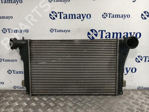 Intercooler SEAT LEON (1M1) 1.9 TDI (110 hp) 31631618