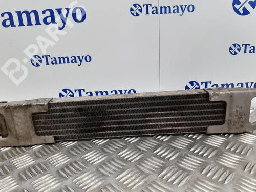 Oil radiator MERCEDES-BENZ B-CLASS Sports Tourer (W245)  | BP9203078M33 