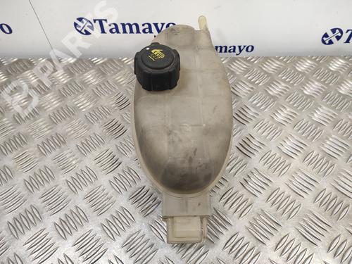 Expansion tank NISSAN PRIMASTAR Van (X83) 2.5 dCi 140 | BP11383901C120