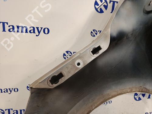 Right front fenders RENAULT CLIO III (BR0/1, CR0/1) 1.5 dCi | BP31044612C42 