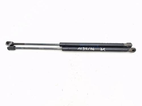 tailgate-lift-support-lancia-ypsilon-843_-2003-2004-2005-2006-2007-2008-2009-2010-2011-30342023 main image
