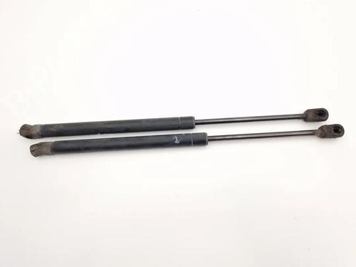 tailgate-lift-support-chevrolet-aveo-kalos-hatchback-t250-t255-2006-30345669 main image