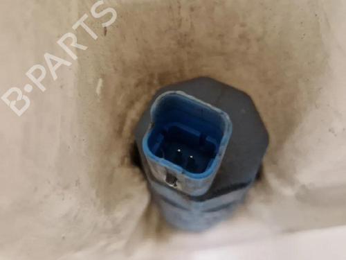 Sprinklertank RENAULT ESPACE IV (JK0/1_) 2.0 dCi (JK01, JK02, JK1J, JK1K, JK1H) | BP30595598C113