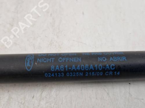 Tailgate lift support FORD FIESTA VI (CB1, CCN) 1.4 | BP30342875C138 