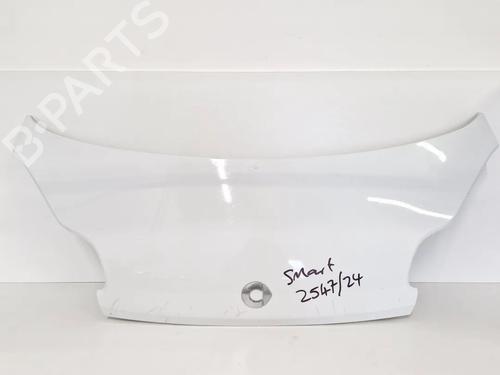 hood-smart-fortwo-coupe-451-2007-30344574 main image