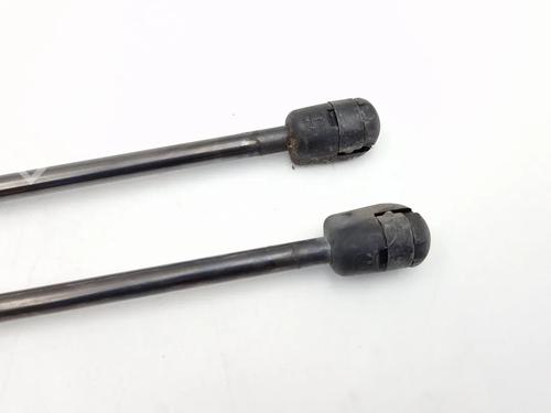 Tailgate lift support CITROËN C3 I (FC_, FN_) 1.4 i | BP30344264C138