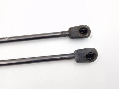 Tailgate lift support CITROËN C3 I (FC_, FN_) 1.4 i | BP30344264C138