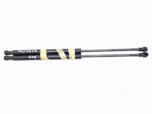 tailgate-lift-support-peugeot-307-3ac-2000-2001-2002-2003-2004-2005-2006-2007-2008-2009-2010-2011-2012-30346265 main image