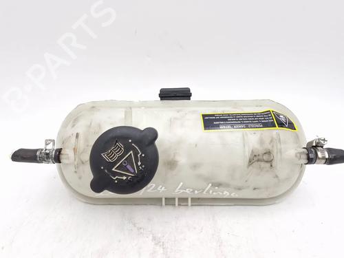 expansion-tank-citroen-berlingo-berlingo-first-mpv-mf_-gjk_-gfk_-1996-30341650 main image