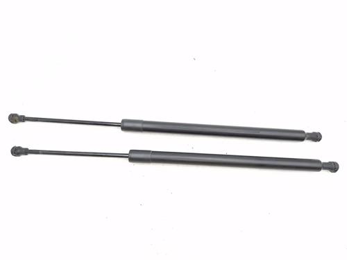 tailgate-lift-support-renault-modus-grand-modus-fjp0_-2004-30342606 main image