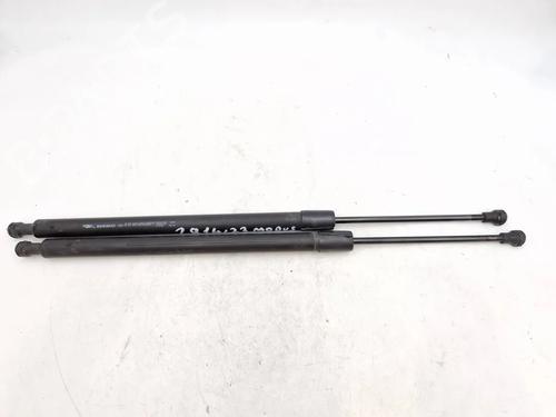 tailgate-lift-support-renault-modus-grand-modus-fjp0_-2004-30341565 main image