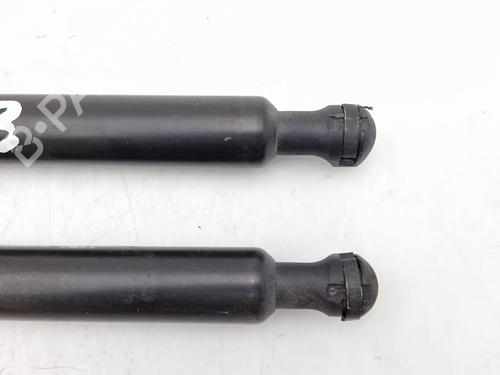 Tailgate lift support RENAULT MODUS / GRAND MODUS (F/JP0_) 1.5 dCi (FP0F, JP0F) | BP30342329C138 