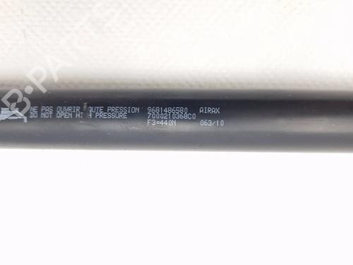 Tailgate lift support CITROËN C3 Picasso (SH_) 1.6 HDi | BP30347860C138 