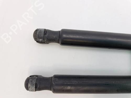 Tailgate lift support FIAT STILO (192_) 1.2 16V (192_XA1B) | BP30343655C138 