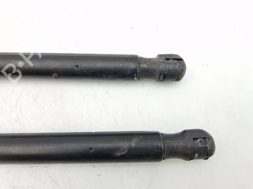 Tailgate lift support RENAULT SCÉNIC II (JM0/1_) 1.5 dCi (JM0F) | BP30342231C138 