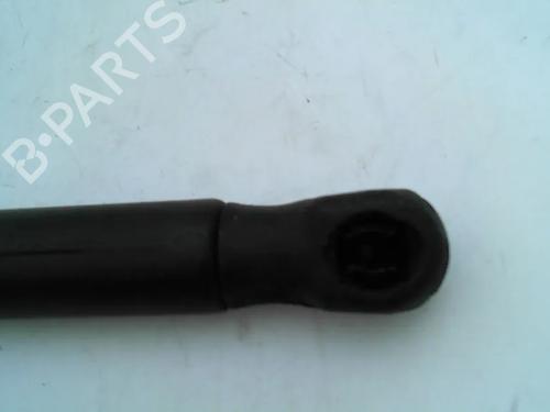Tailgate lift support AUDI A3 (8P1) 1.6 | BP30340989C138 
