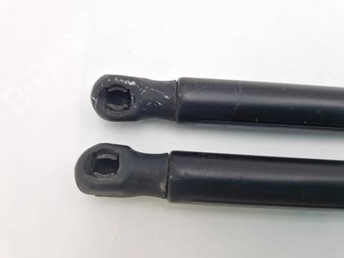 Tailgate lift support FORD FOCUS II (DA_, HCP, DP) 1.4 | BP30343848C138 