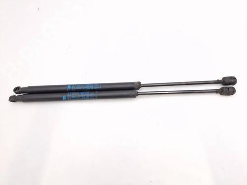 Gasdæmper bagklap FIAT IDEA (350_) 1.2 16V (80 hp) 30343594