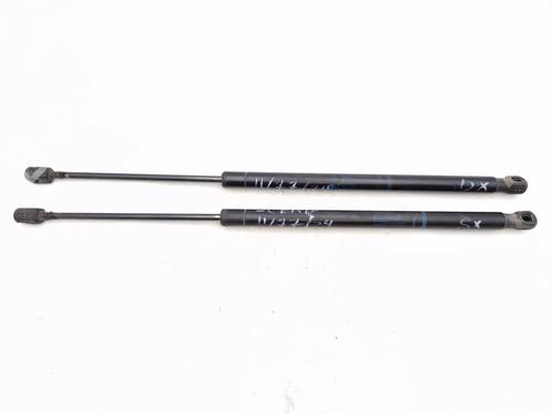 Used Tailgate lift support RENAULT SCÉNIC II (JM0/1_) 1.5 dCi (JM0F) (82 hp) 30342386