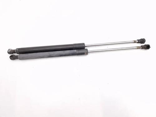 tailgate-lift-support-renault-clio-iii-br01-cr01-2005-2006-2007-2008-2009-2010-2011-2012-2013-2014-30344129 main image