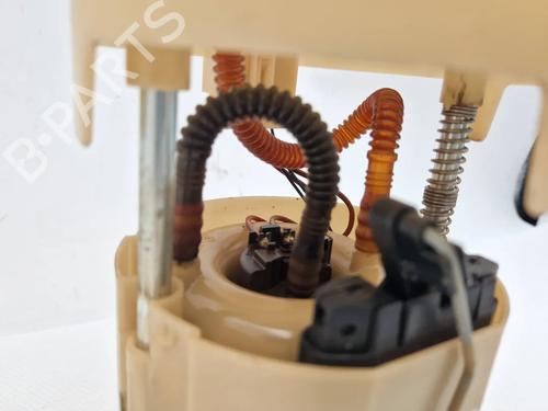 Fuel pump PEUGEOT 207 (WA_, WC_) 1.6 16V | BP30347547M76 