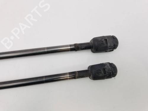 Tailgate lift support FORD FUSION (JU_) 1.25 | BP30343903C138 