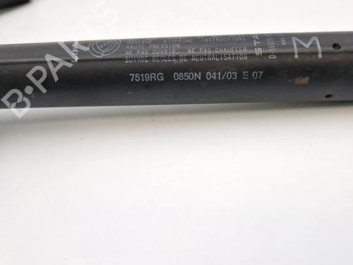 Tailgate lift support FIAT STILO (192_) 1.2 16V (192_XA1B) | BP30343655C138 