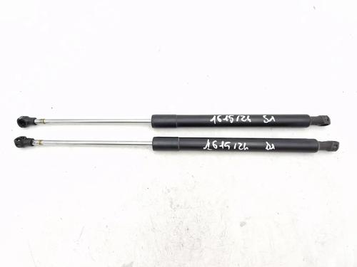 tailgate-lift-support-renault-clio-iii-br01-cr01-2005-2006-2007-2008-2009-2010-2011-2012-2013-2014-30342036 main image