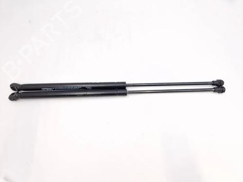 tailgate-lift-support-peugeot-207-wa_-wc_-2006-2007-2008-2009-2010-2011-2012-2013-2014-2015-30343982 main image