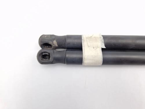 Tailgate lift support FORD C-MAX (DM2) 1.6 | BP30344948C138 