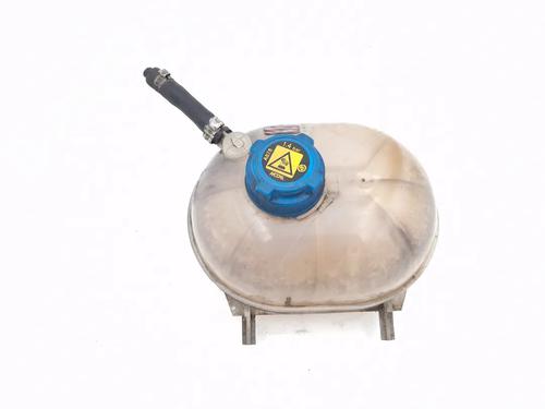 Used Expansion tank FIAT PANDA (169_) 1.1 (169.AXA1A) (54 hp) 30350357