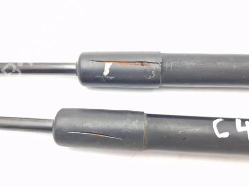 Tailgate lift support CITROËN C4 Picasso I MPV (UD_) 1.6 HDi | BP30344725C138 