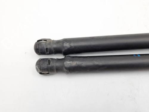 Tailgate lift support CITROËN C3 I (FC_, FN_) 1.4 i | BP30344264C138