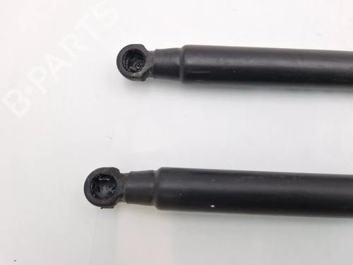 Tailgate lift support FIAT IDEA (350_) 1.2 16V | BP30343594C138 