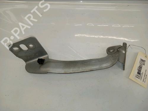 hingedoor-check-strap-renault-kangoo-express-fw01_-2008-30415168 main image