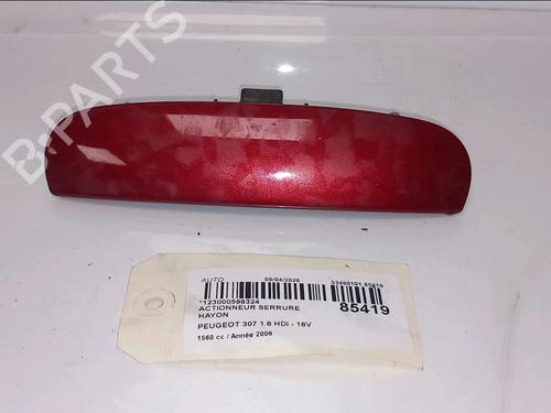 Used Electronic module Electronic module PEUGEOT 307 (3A/C) 1.6 HDi (90 hp) 33973595 33973595