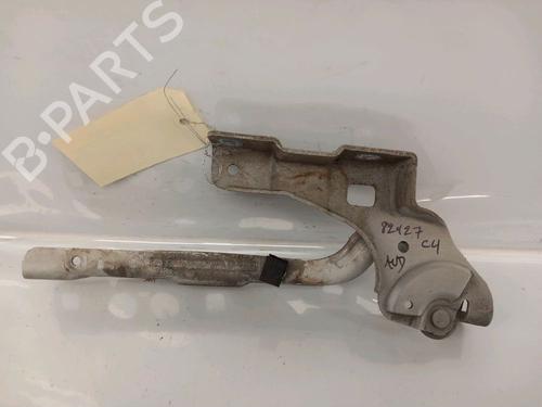 Used Hinge/Door check strap CITROËN C4 II (NC_) 1.6 HDi 90 (92 hp) 30418130