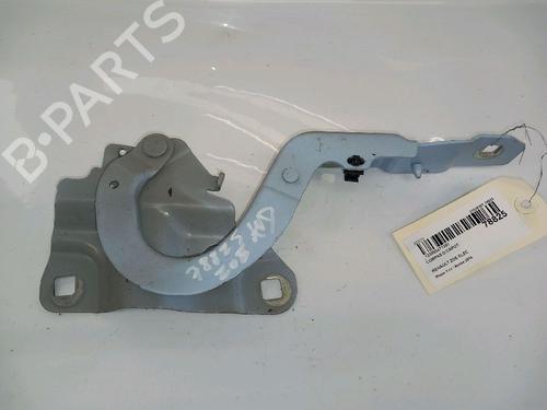 Dørhængsel/Dørbegrænser RENAULT ZOE (BFM_) ZOE (88 hp) 30418028