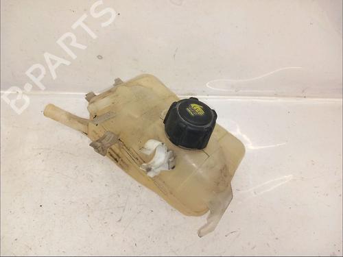 Used Expansion tank RENAULT SCÉNIC III (JZ0/1_) 1.9 dCi (JZ0J, JZ1J, JZ1K, JZ1S) (131 hp) 30413628