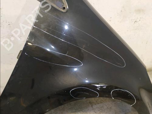 Right front fenders RENAULT CLIO III (BR0/1, CR0/1) 1.5 dCi (C/BR0G, C/BR1G) | BP32226184C42
