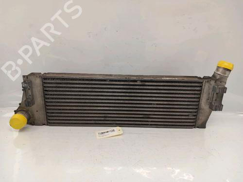 Annen RENAULT MEGANE II Estate (KM0/1_) 1.5 dCi (KM16, KM1E) (106 hp) 30419143