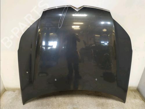 Used Hood CITROËN C5 III (RD_) 1.6 HDi 110 (RD9HZC) (109 hp) 30420886