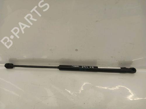 tailgate-lift-support-citroen-c3-i-fc_-fn_-2002-2003-2004-2005-2006-2007-2008-2009-2010-2011-2012-2013-30415232 main image