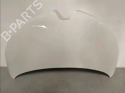 hood-renault-zoe-bfm_-2012-37257254 main image