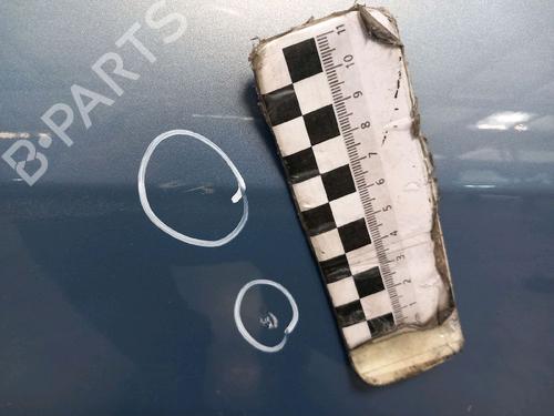 Right front door RENAULT SCÉNIC II (JM0/1_) 1.6 BiFuel | BP30421680C3