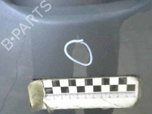 Left front door LANCIA MUSA (350_) 1.9 D Multijet (350.AXC1A) | BP30428033C2