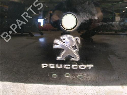 Bagrude PEUGEOT 108 1.0 VTi | BP33973608C64 - Image 3